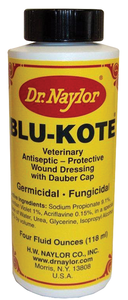 Dr. Naylor Blue Kote Antiseptic with Dauber Cap